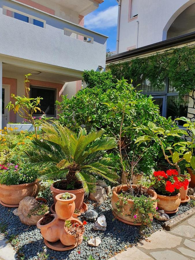 Apartmani Kurjakovic - بونات المظهر الخارجي الصورة